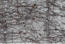 Photo of Various Textures